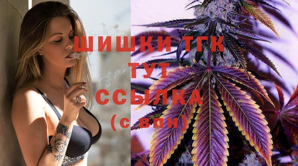 дурь Горняк