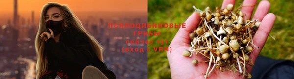 бошки Гусев